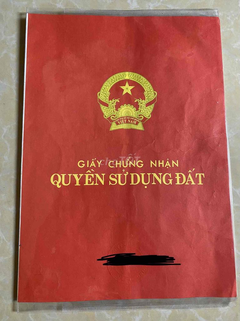4591079 ảnh đại diện 2