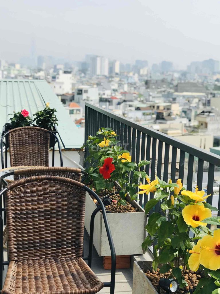 4589195 ảnh đại diện 2