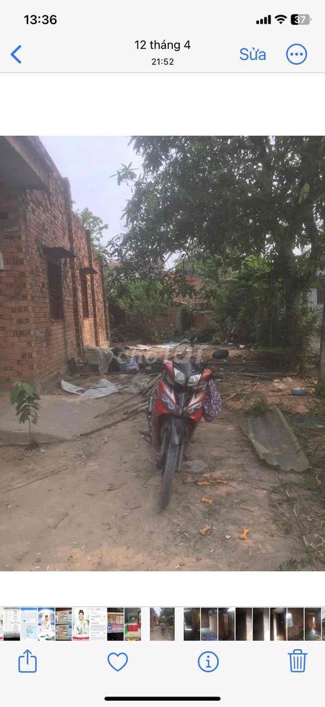 4591079 ảnh đại diện 1