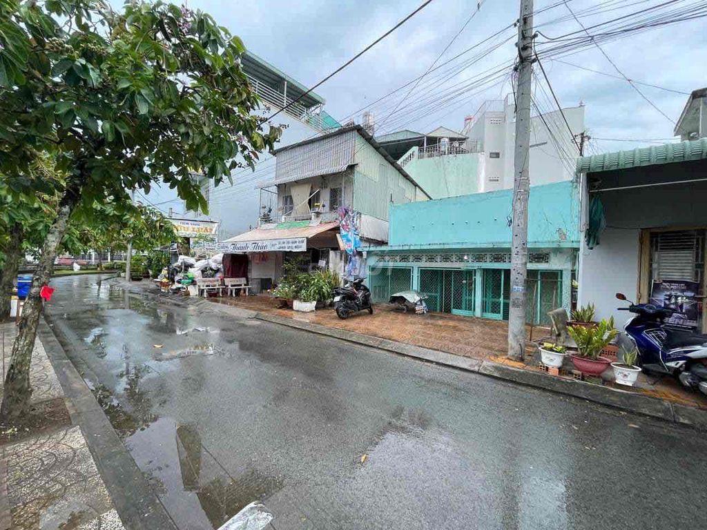 4597271 ảnh đại diện 2