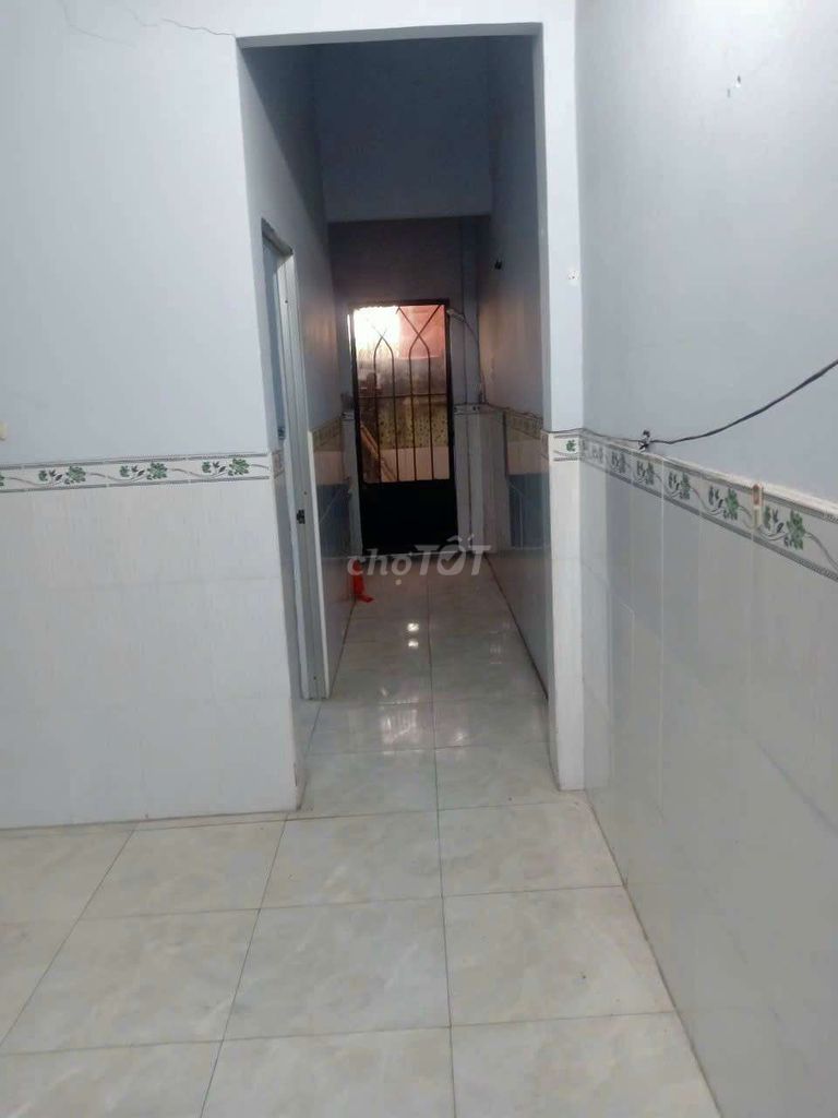 4598091 ảnh đại diện 2