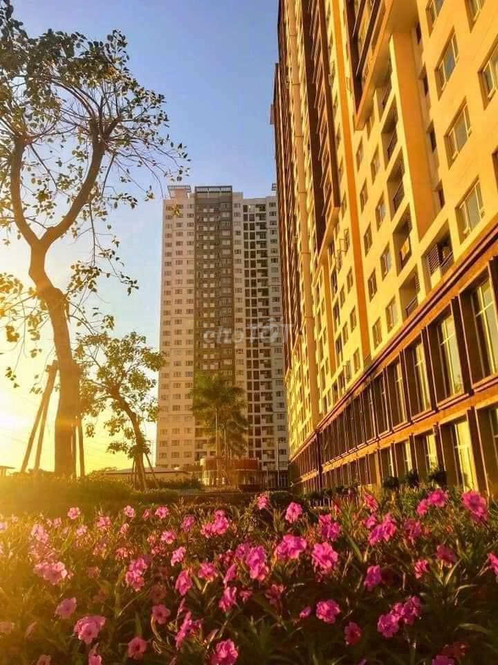 4602350 ảnh đại diện 1