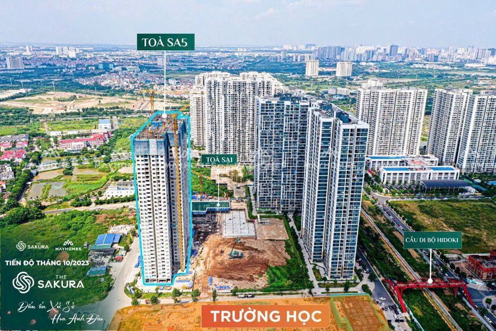 4606461 ảnh đại diện 1
