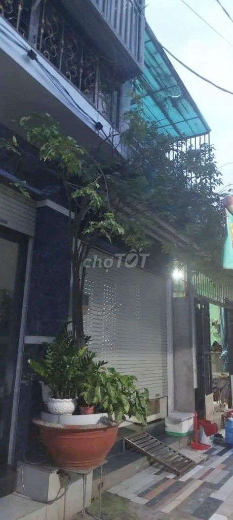 4608210 ảnh đại diện 1