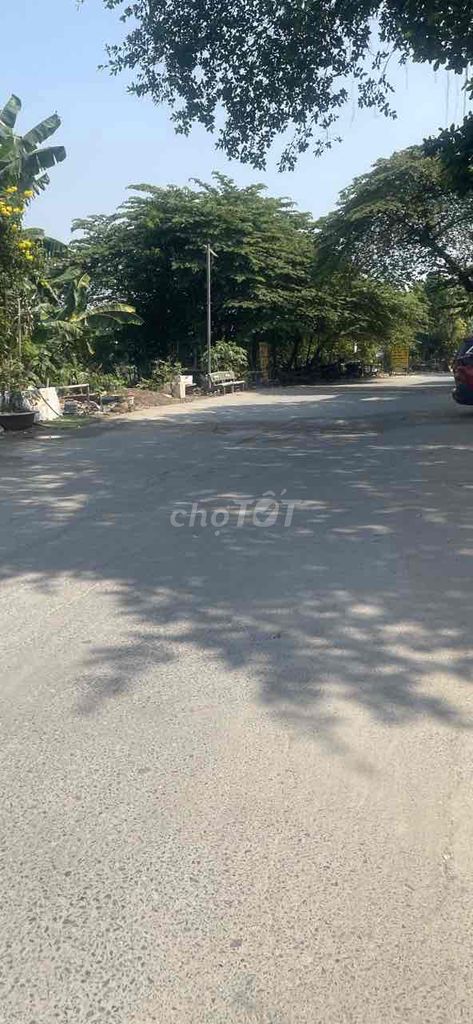 4609968 ảnh đại diện 1