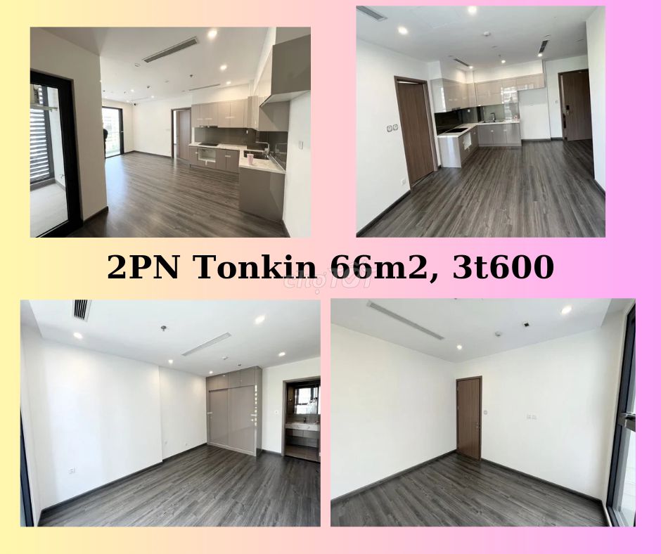 4612096 ảnh đại diện 1