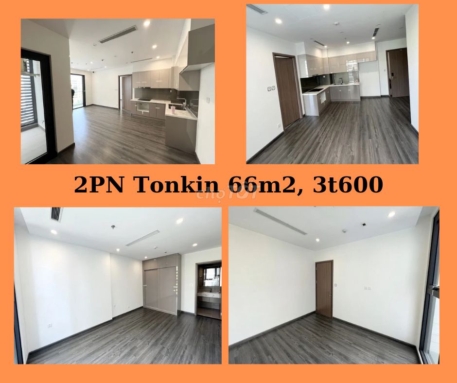 4612096 ảnh đại diện 1