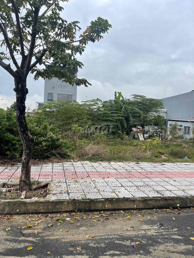 4616418 ảnh đại diện 2