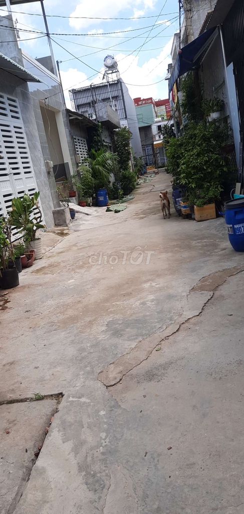 4614232 ảnh đại diện 1