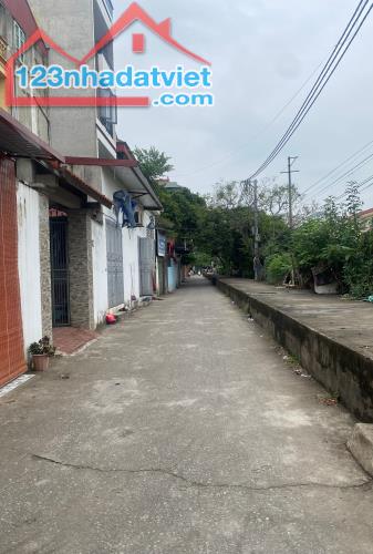 4616319 ảnh đại diện 1