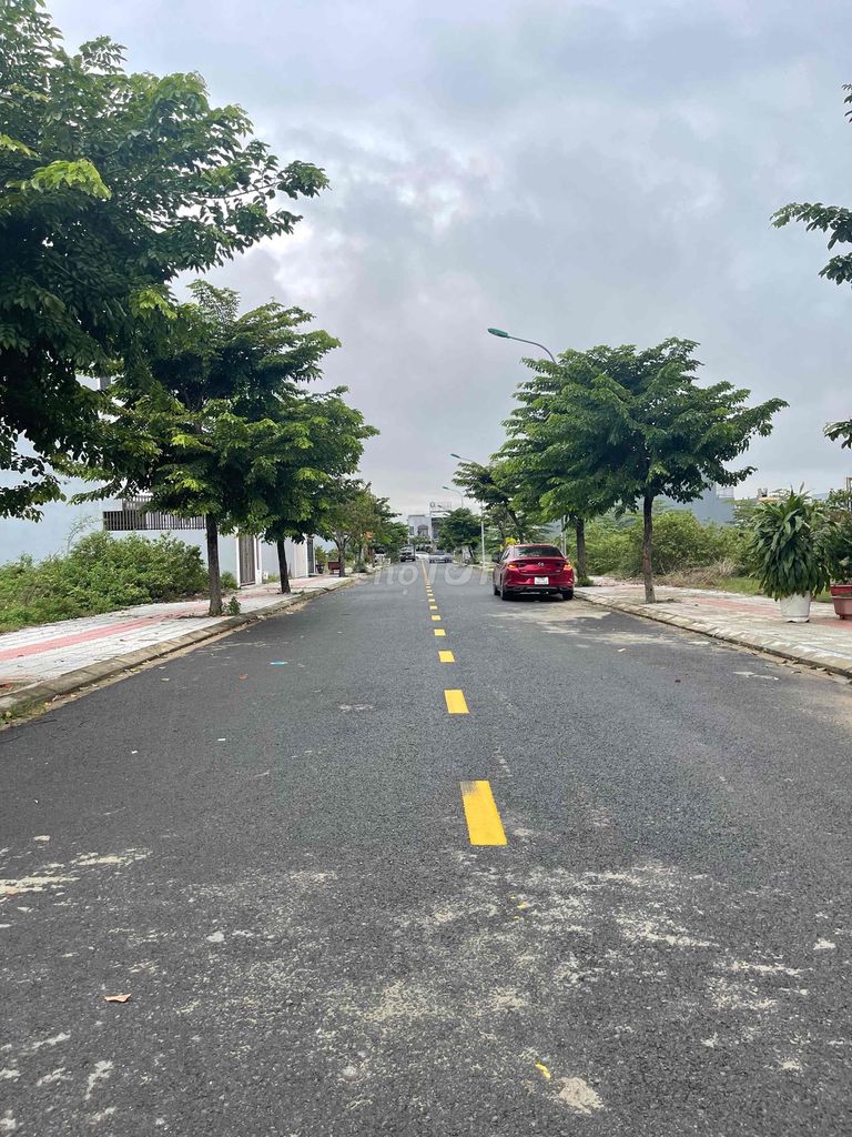 4616418 ảnh đại diện 1