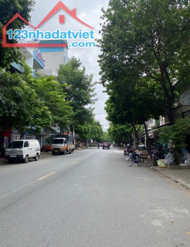 4616337 ảnh đại diện 1