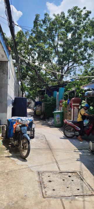 4623726 ảnh đại diện 1