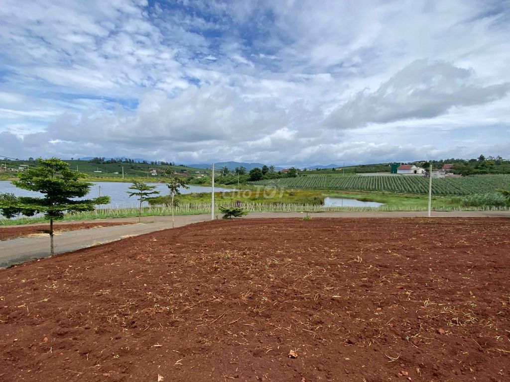 4619537 ảnh đại diện 1