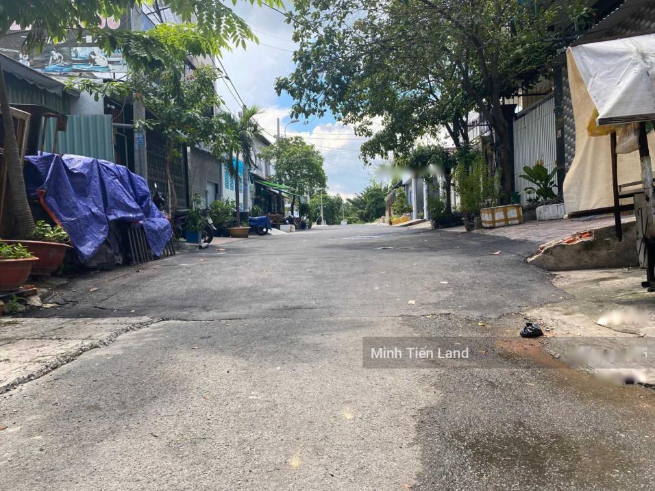 4623720 ảnh đại diện 1