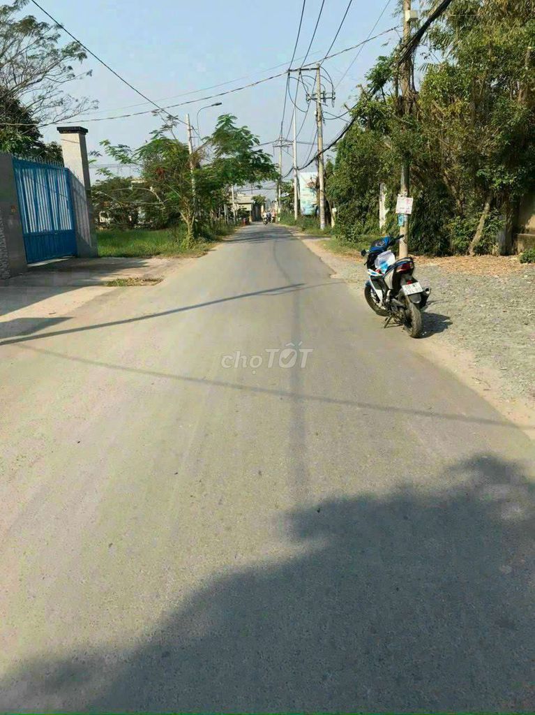 4624642 ảnh đại diện 2