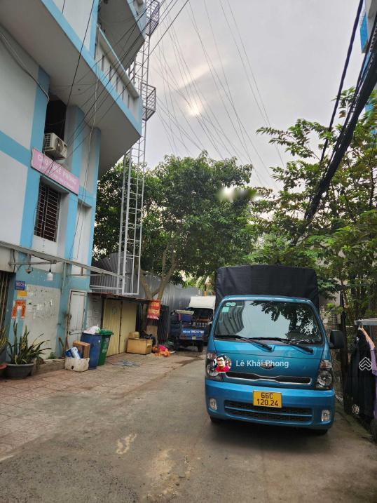 4623713 ảnh đại diện 1