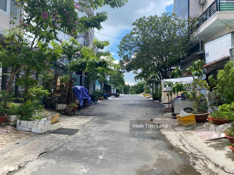 4623720 ảnh đại diện 1
