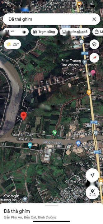 4623309 ảnh đại diện 2