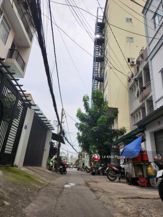 4623713 ảnh đại diện 2