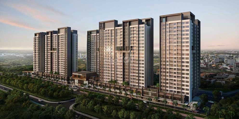 4620699 ảnh đại diện 1