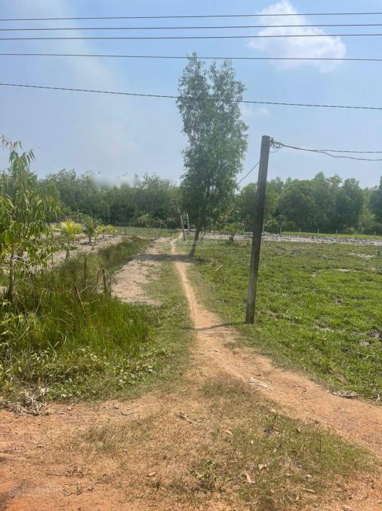 4623309 ảnh đại diện 1