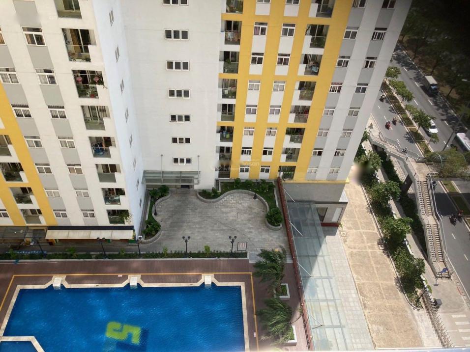 4620473 ảnh đại diện 2