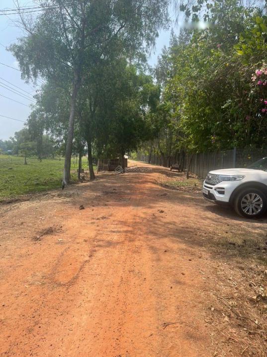 4623309 ảnh đại diện 1