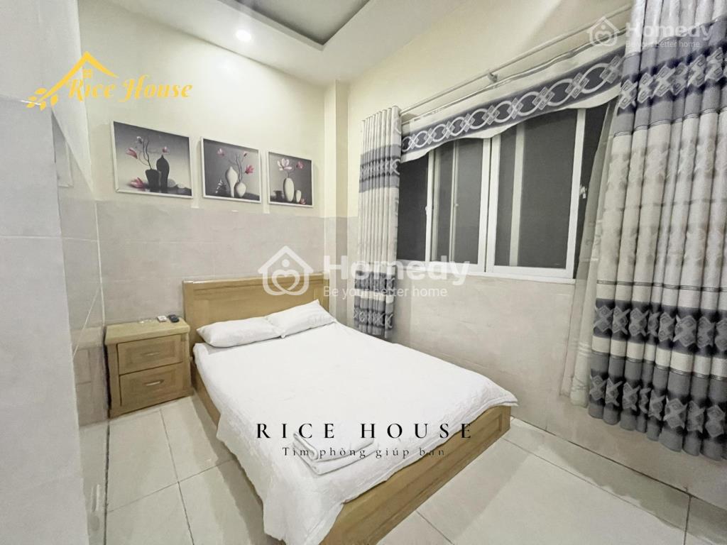 4621263 ảnh đại diện 2