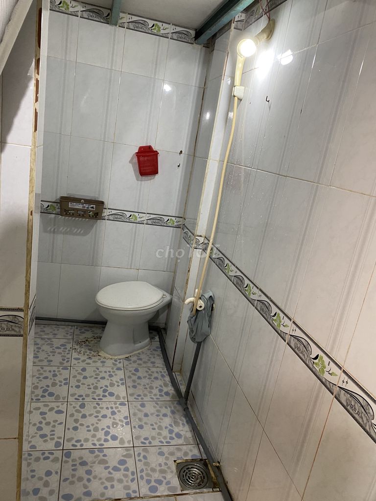 4624338 ảnh đại diện 2