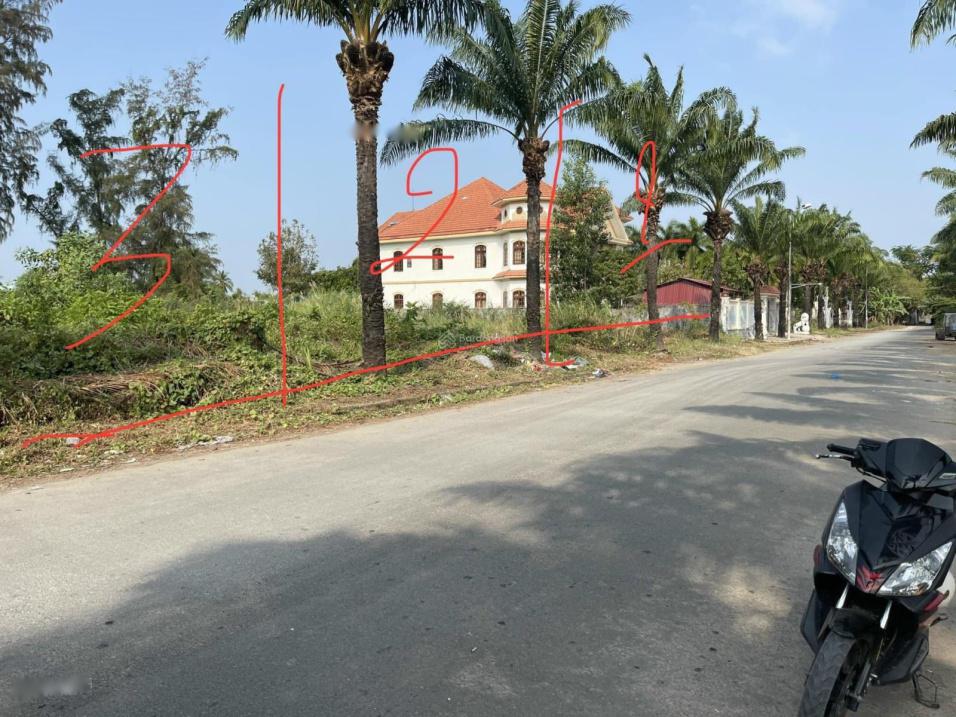 4627805 ảnh đại diện 2