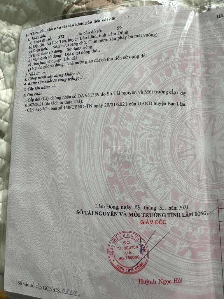 4629423 ảnh đại diện 2