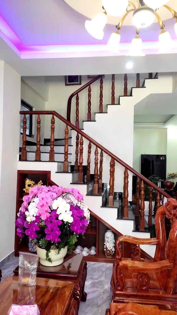 4630950 ảnh đại diện 1