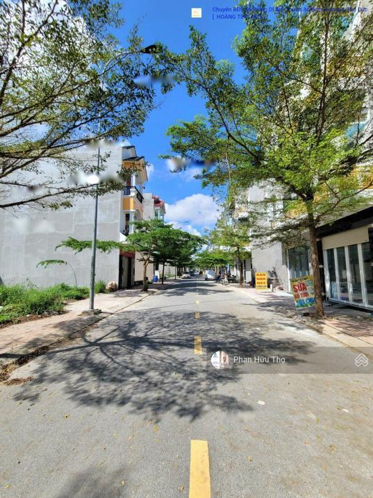 4625955 ảnh đại diện 1