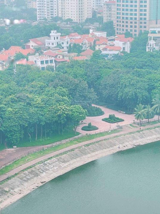 4628900 ảnh đại diện 1