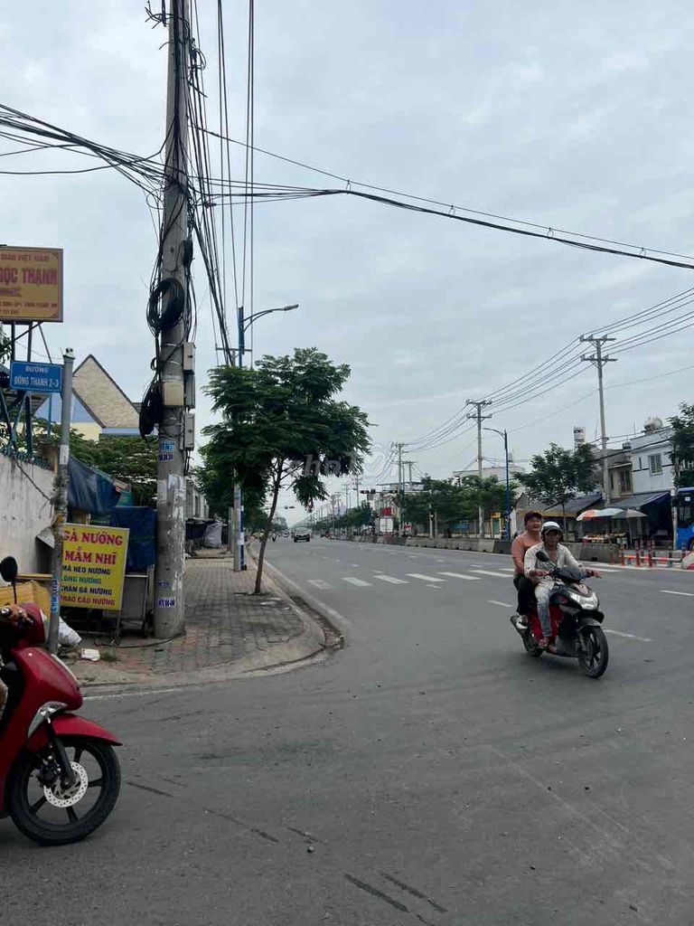 4630509 ảnh đại diện 2