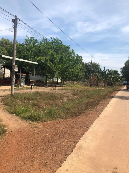 Bán Gấp Đất 500 M2 Tại Xã Đồng Tiến - Đồng Phú - Bình Phước, Giá 280 Tr