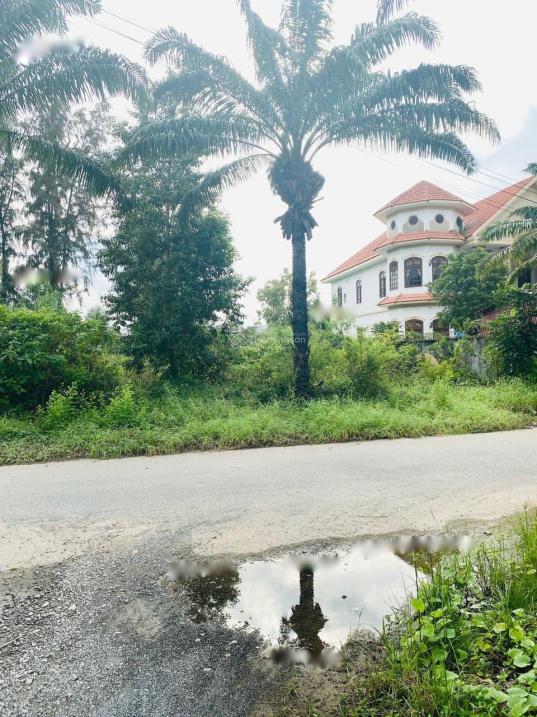 4627805 ảnh đại diện 1