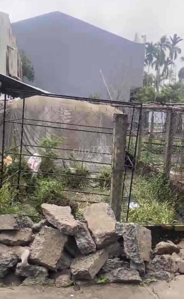 4632655 ảnh đại diện 2