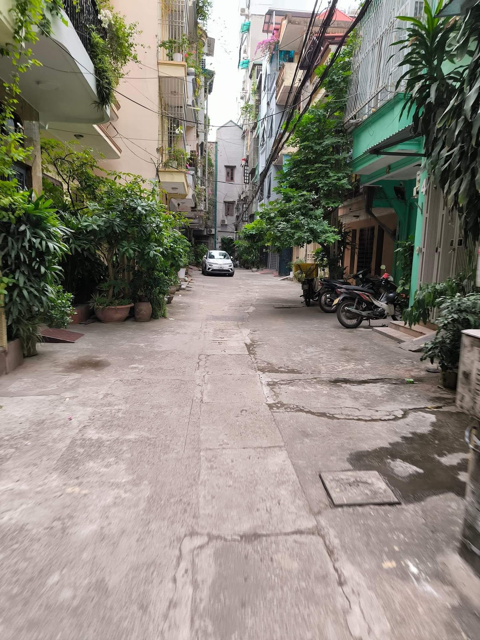 4634997 ảnh đại diện 1