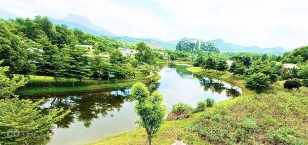 4633994 ảnh đại diện 1