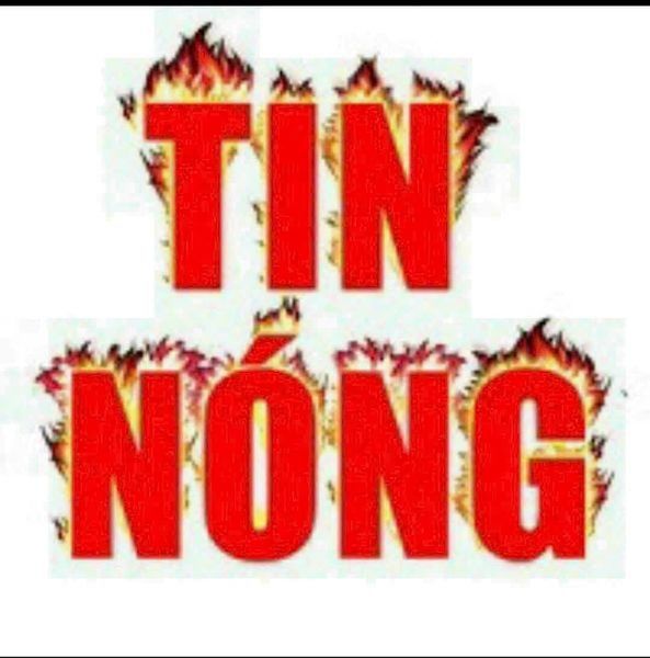 4635288 ảnh đại diện 1