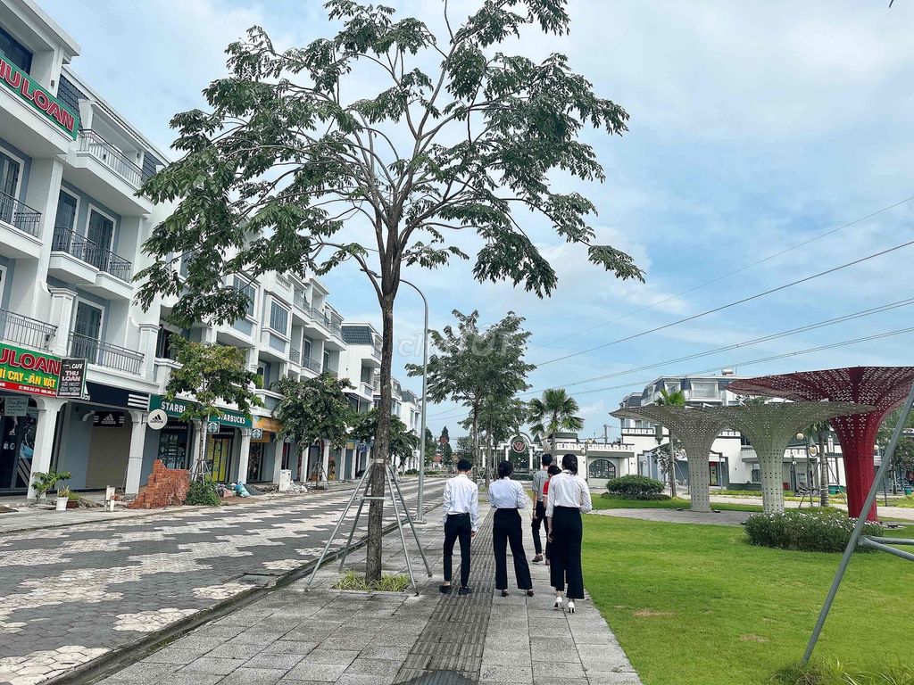 4635340 ảnh đại diện 2