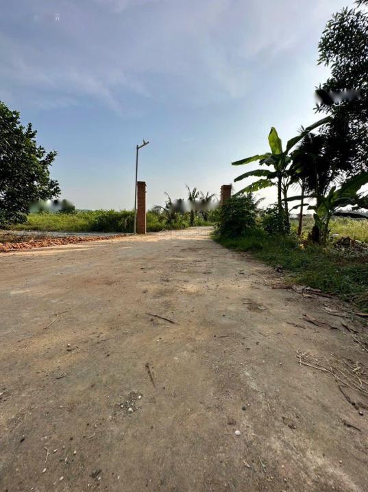 4634056 ảnh đại diện 1
