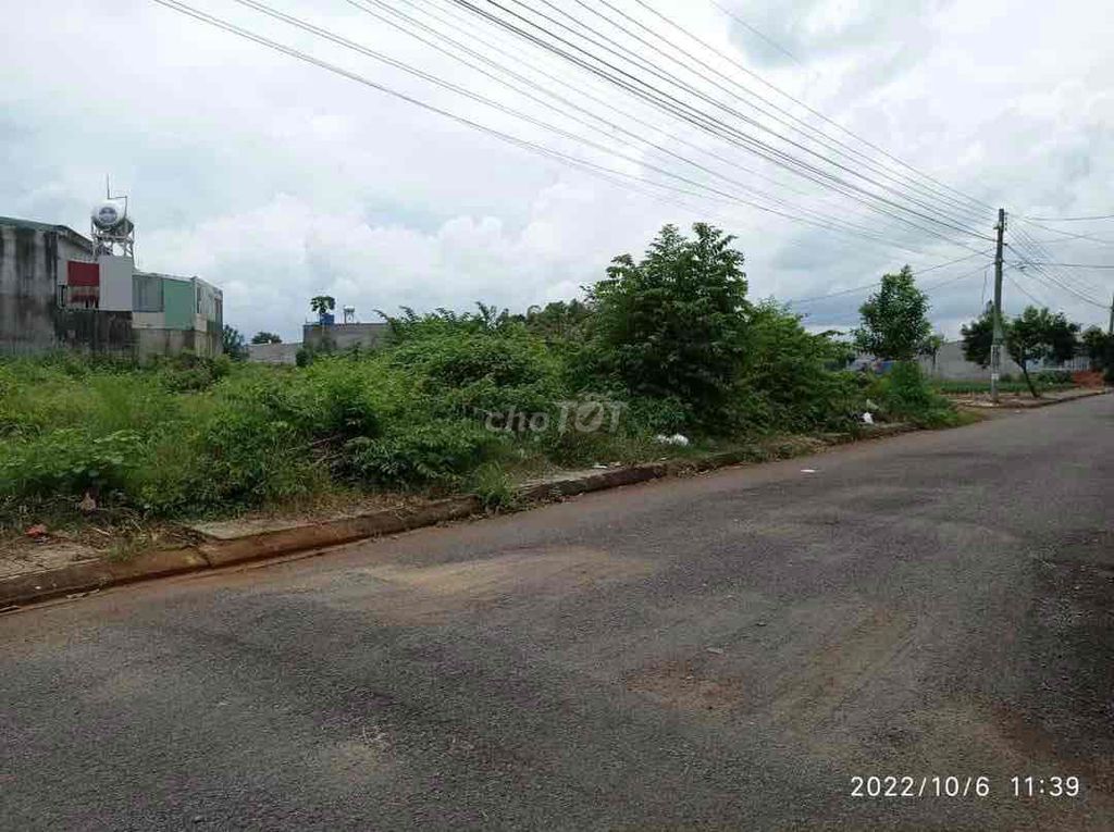 4640103 ảnh đại diện 1