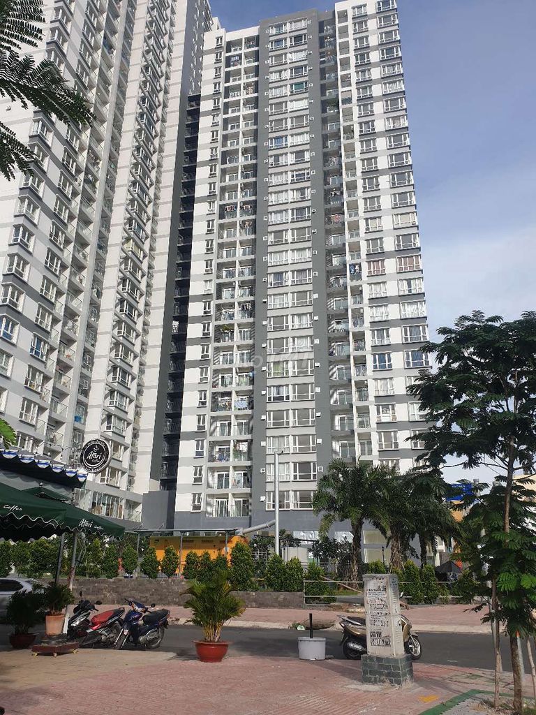 4640002 ảnh đại diện 1