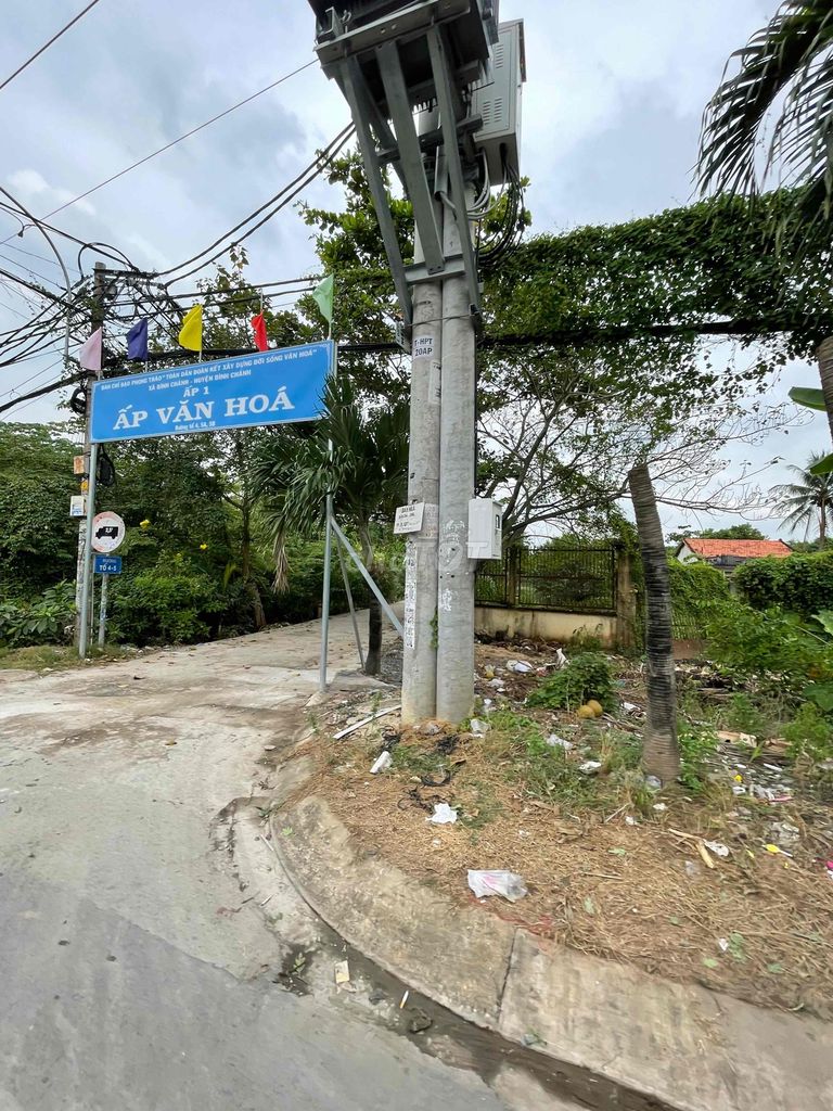 4638444 ảnh đại diện 1