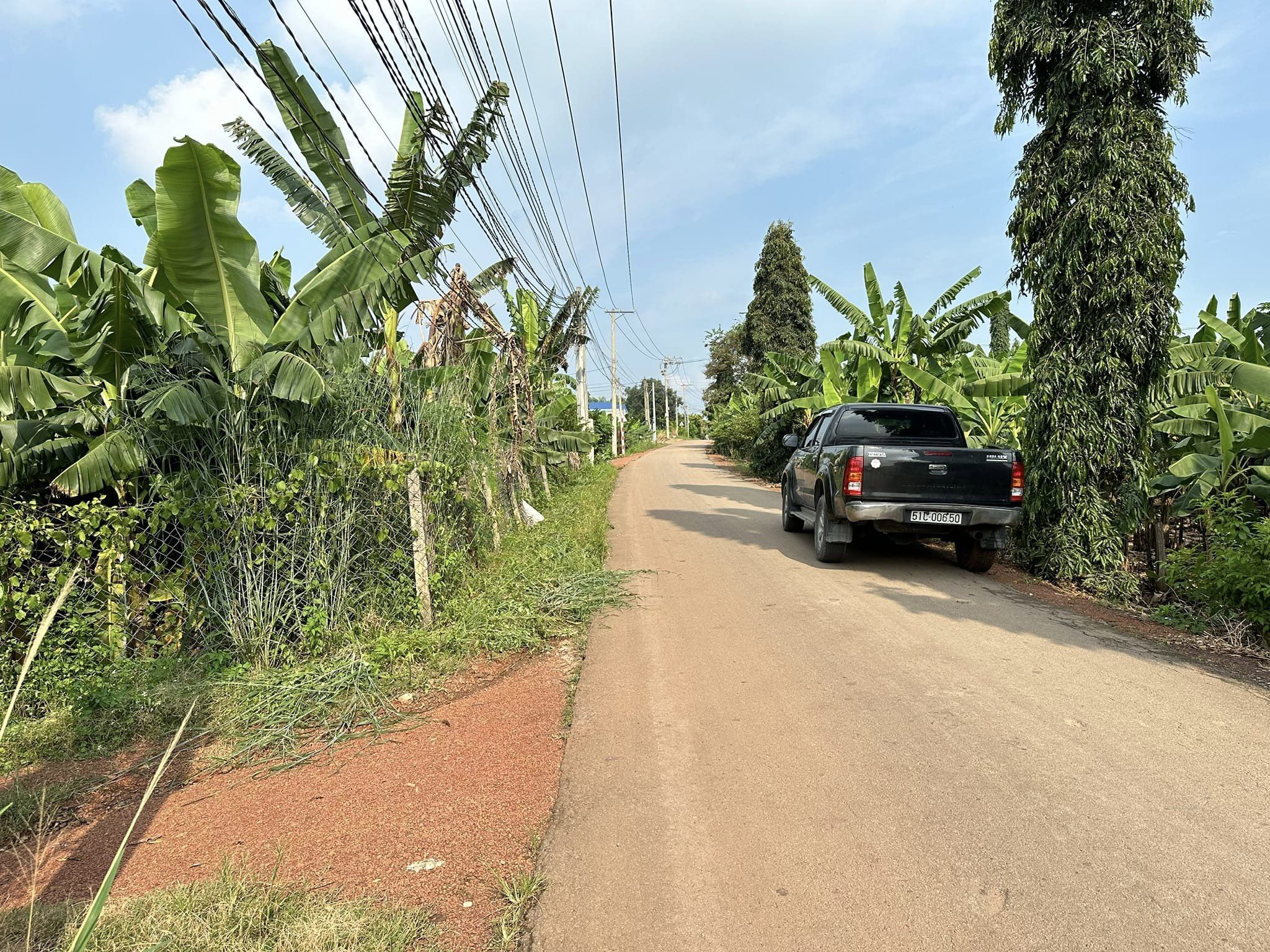 4636553 ảnh đại diện 1
