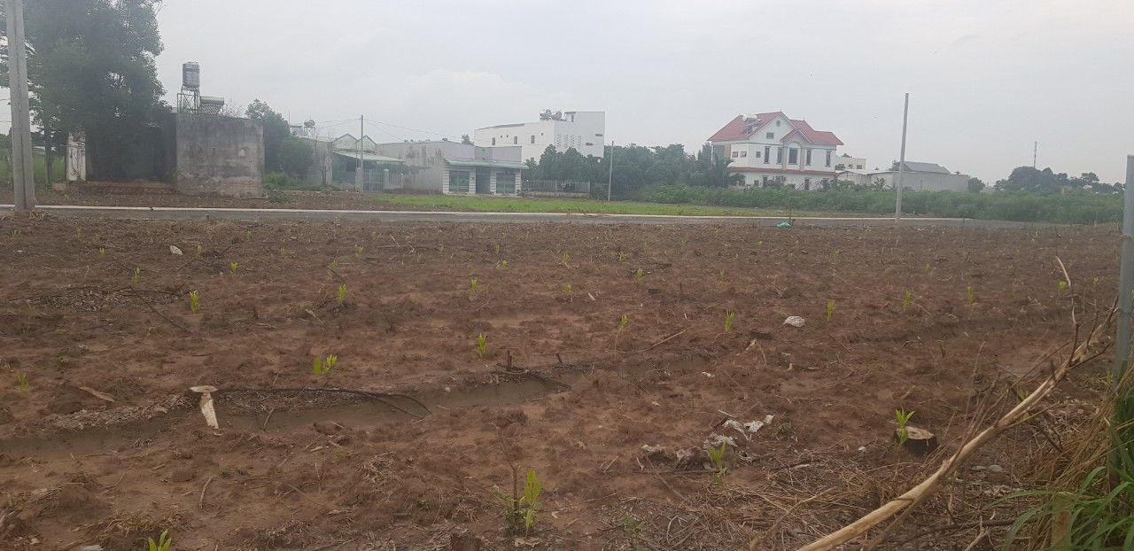 4636560 ảnh đại diện 2