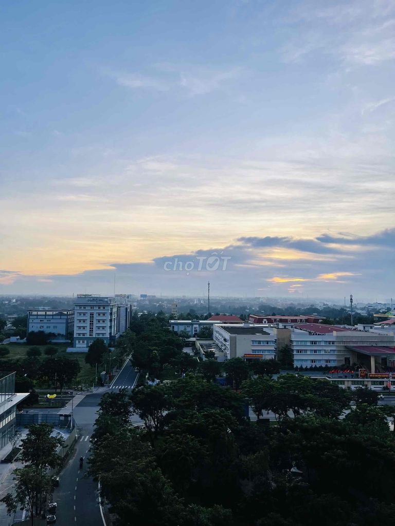 4637407 ảnh đại diện 1